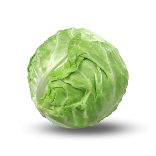 Pakistani Fresh Cabbage 